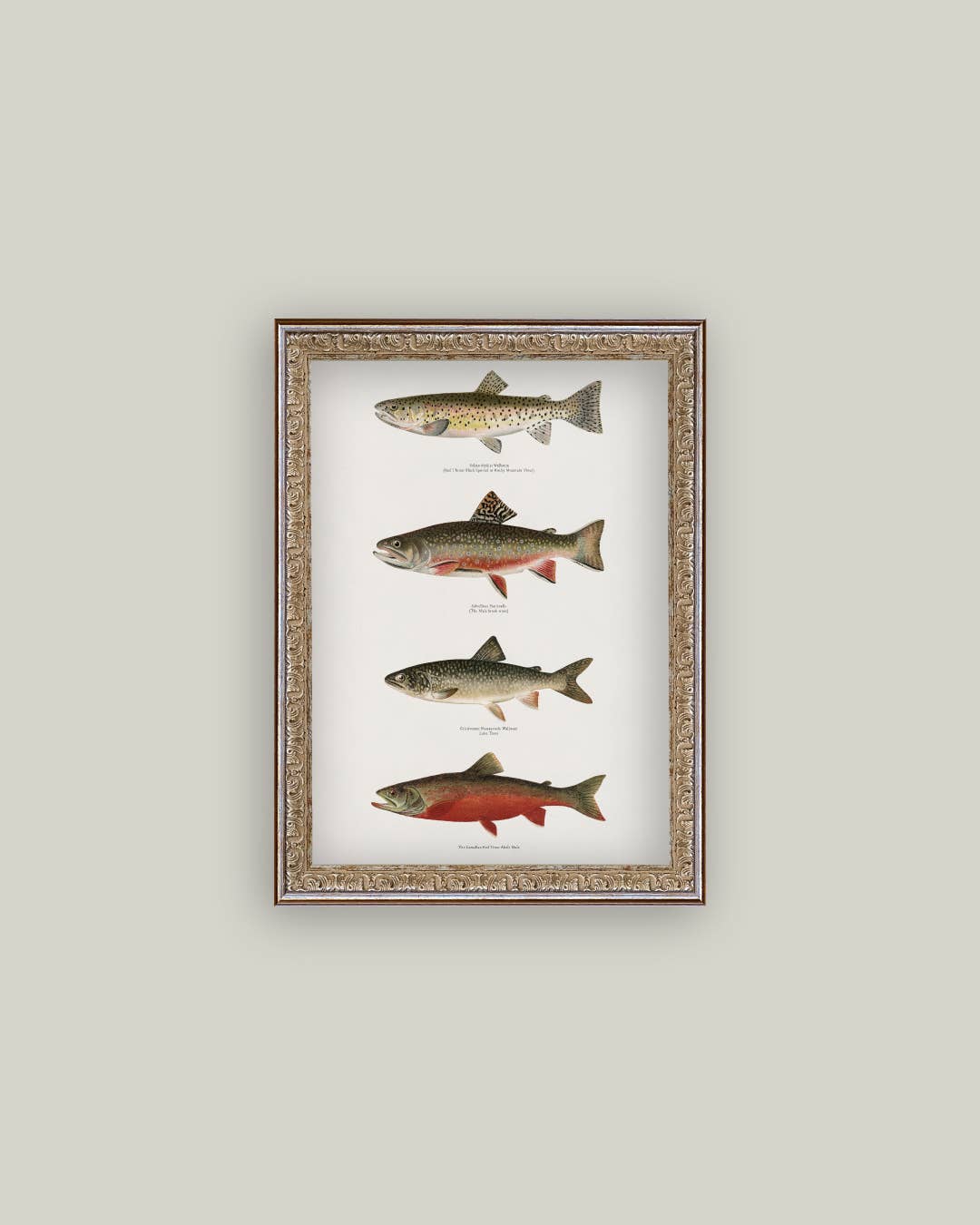 Vintage Trouts Framed Antique Art