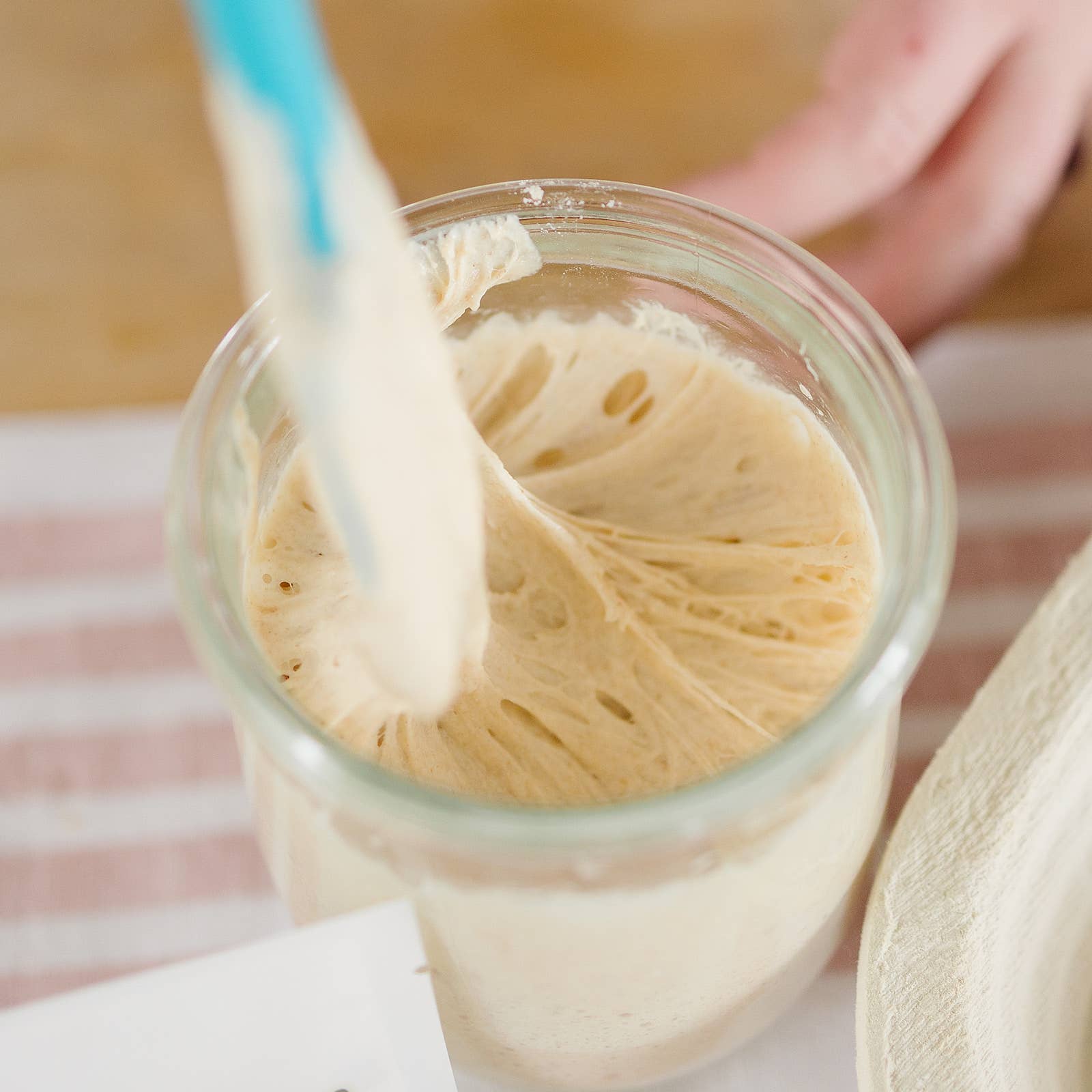 Dehydrated Sourdough Starter