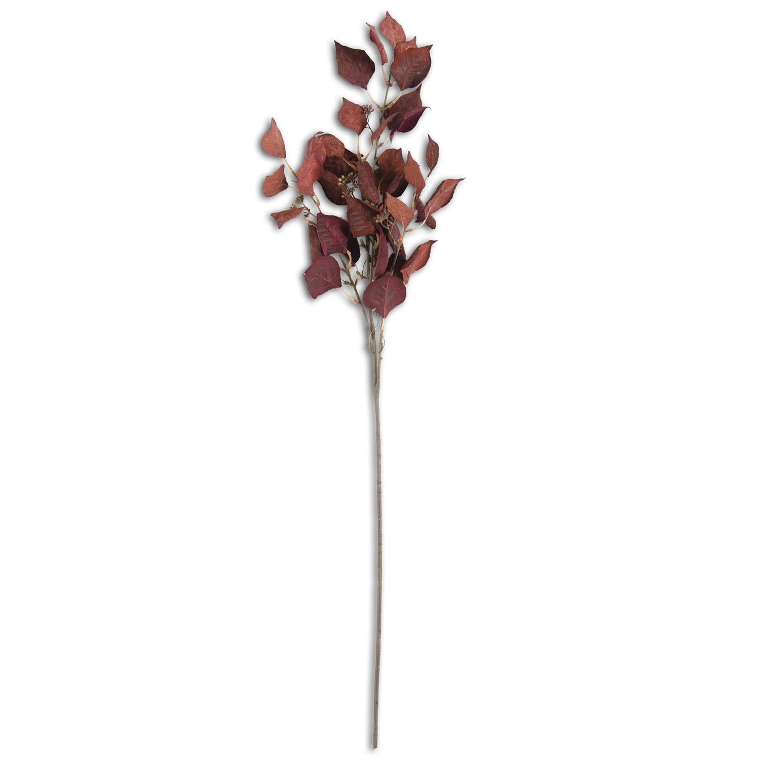 Burgundy Eucalyptus Stem