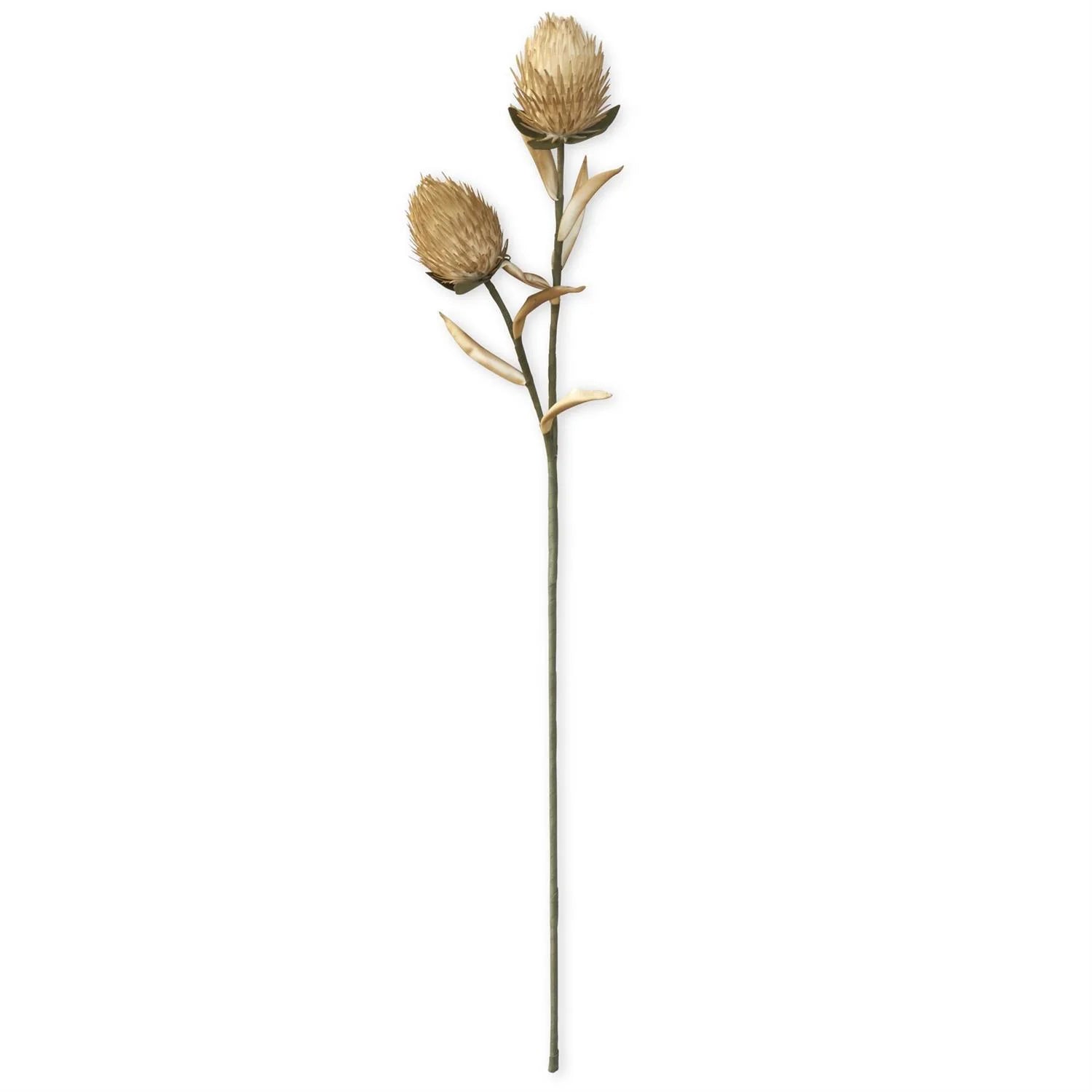 Eva Spikey Pod Stem