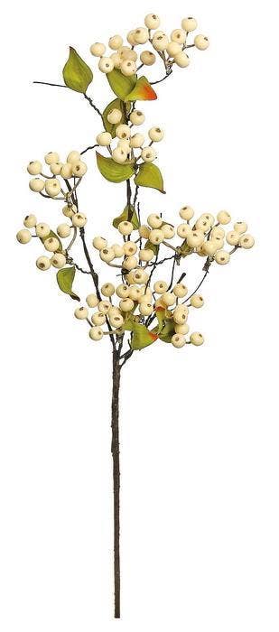 Hawthorn Berry Spray
