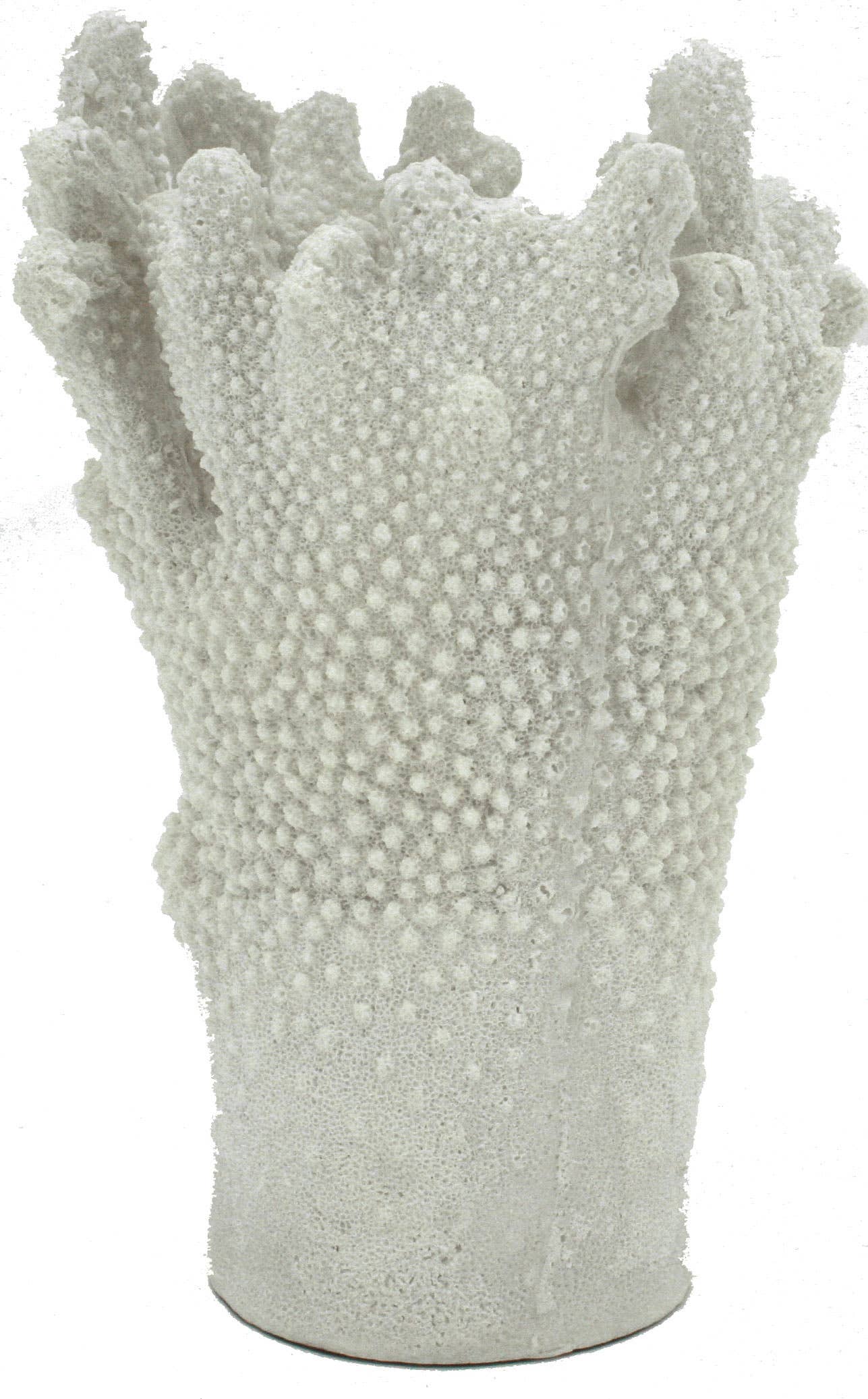 Sandstone Branch Coral Vase