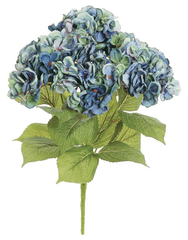 Hydrangea Bush Blue