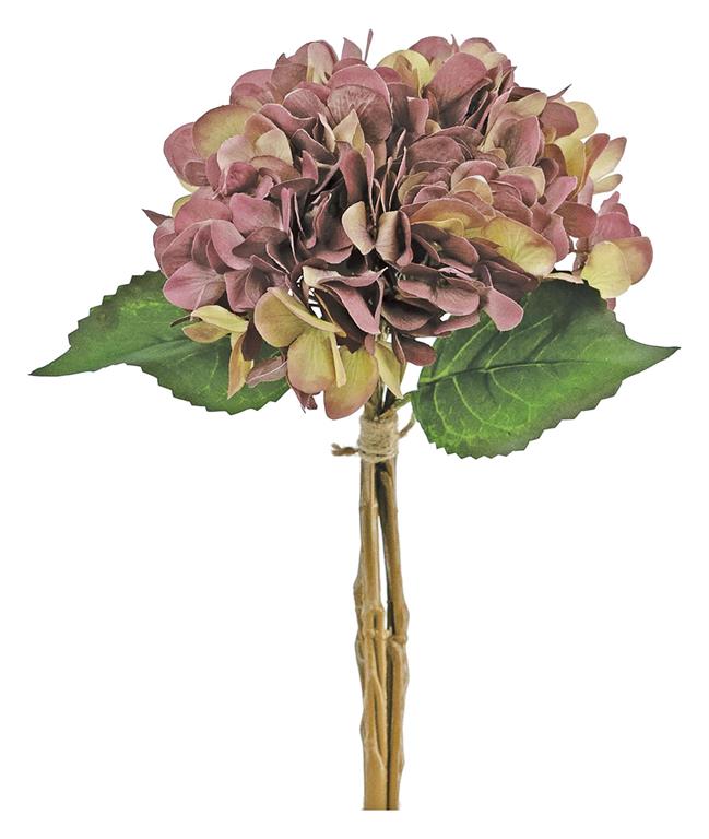 Vintage Rosewood Hydrangea Bundle