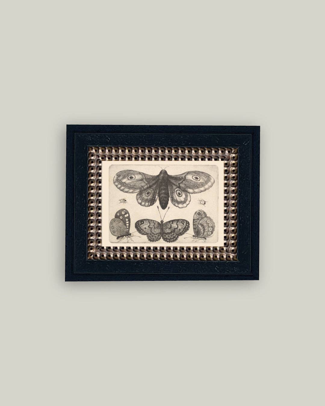 Various Insects Framed Antique Art