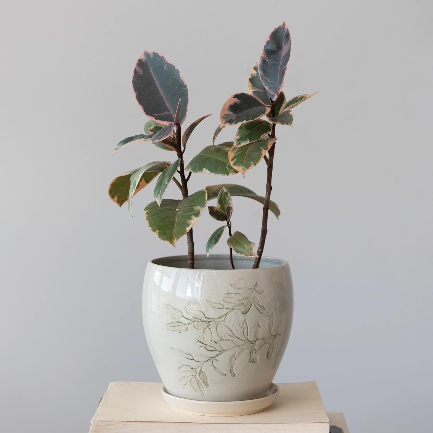 Botanical Impression Planter