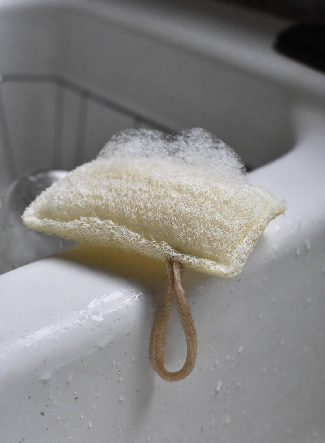 Kitchen Loofah Sponge