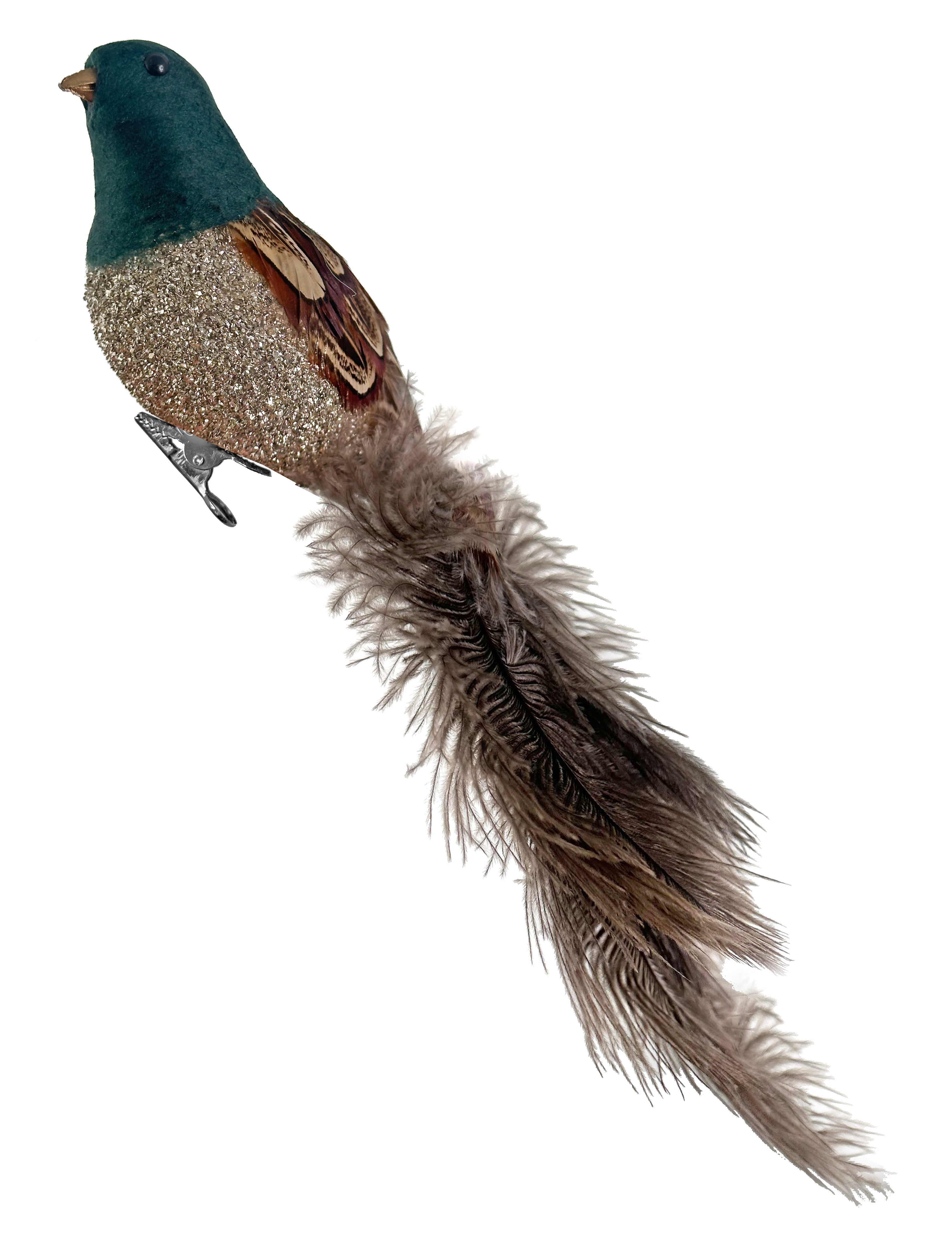 Green Feather bird