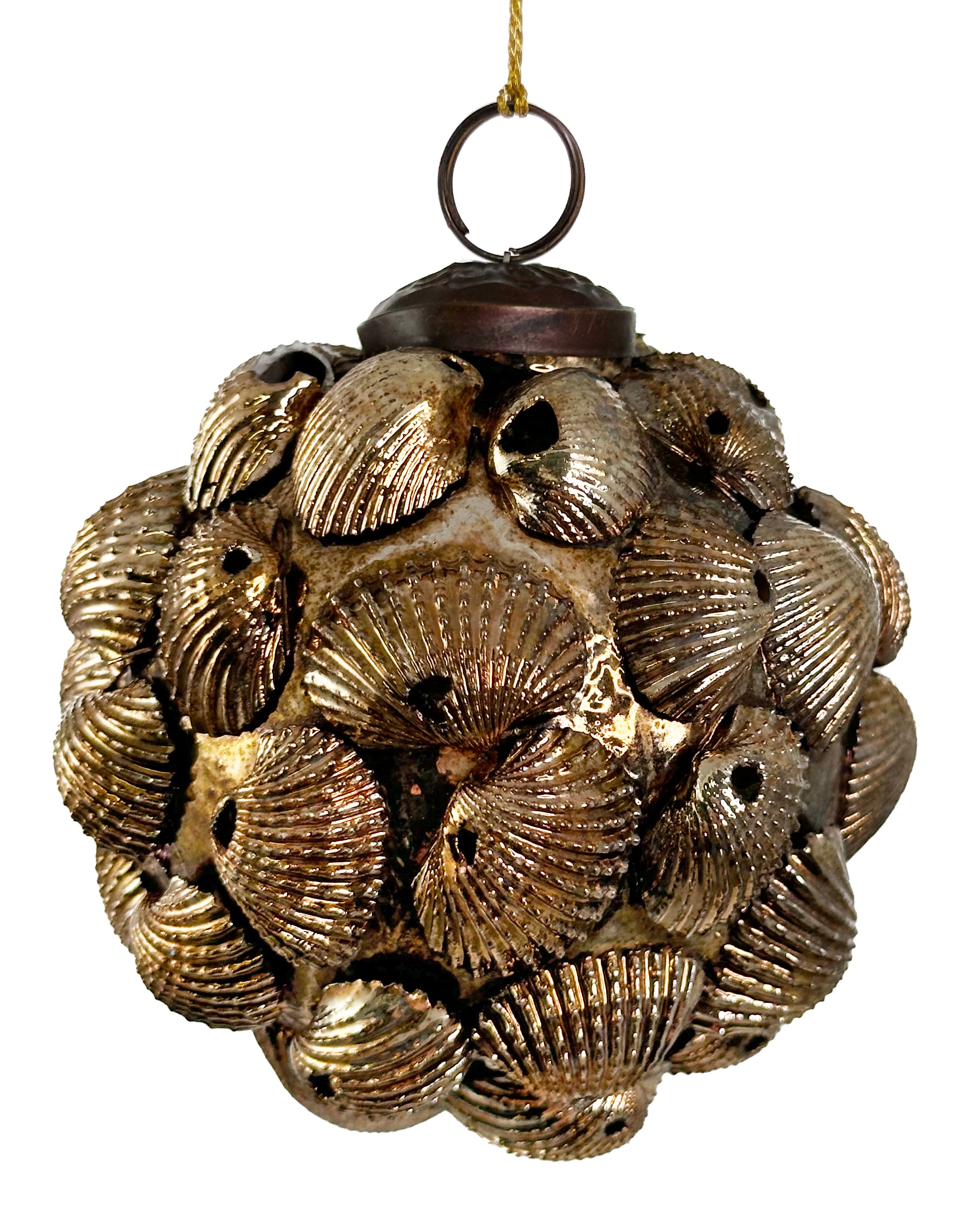 Shell ornament