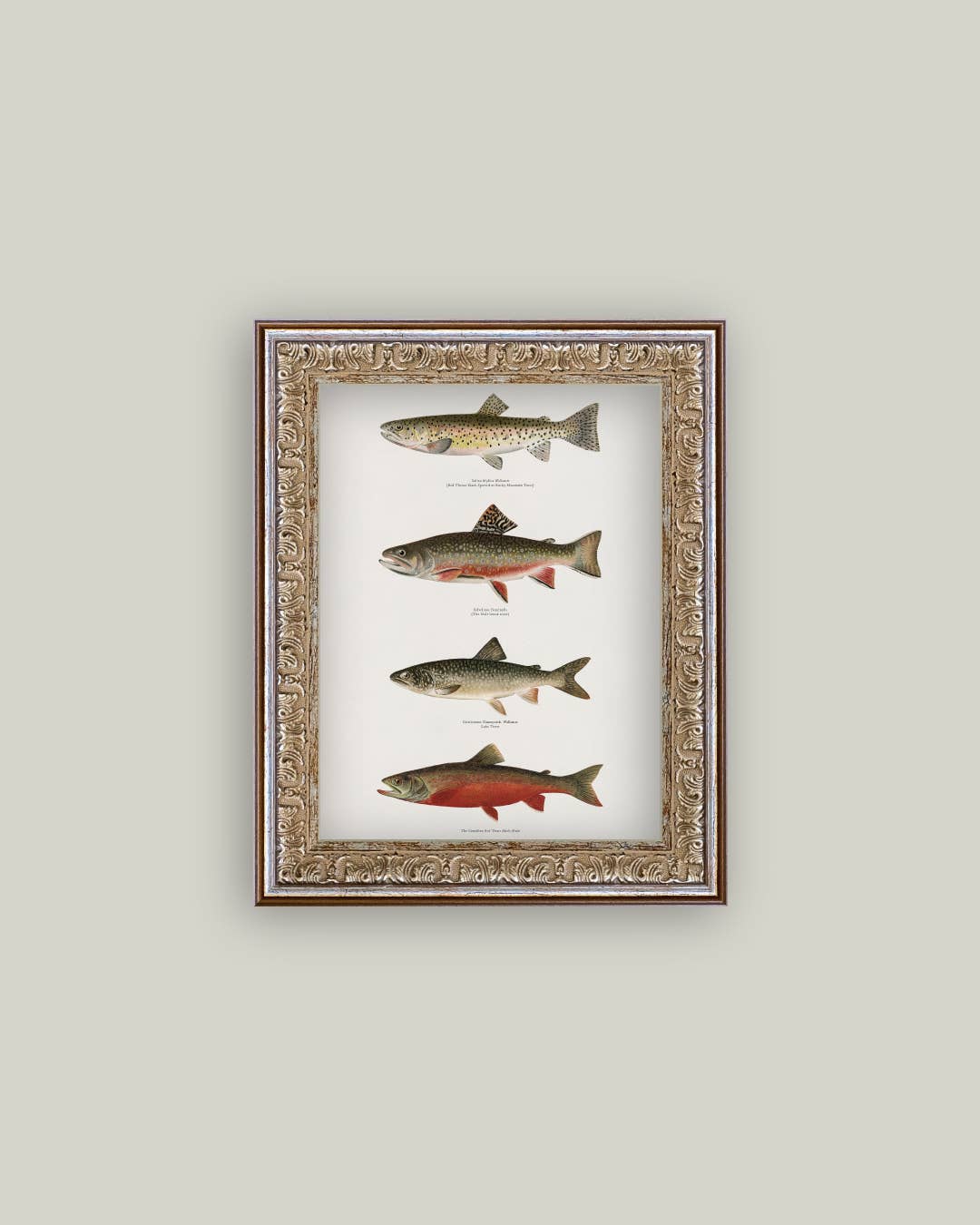 Vintage Trouts Framed Antique Art