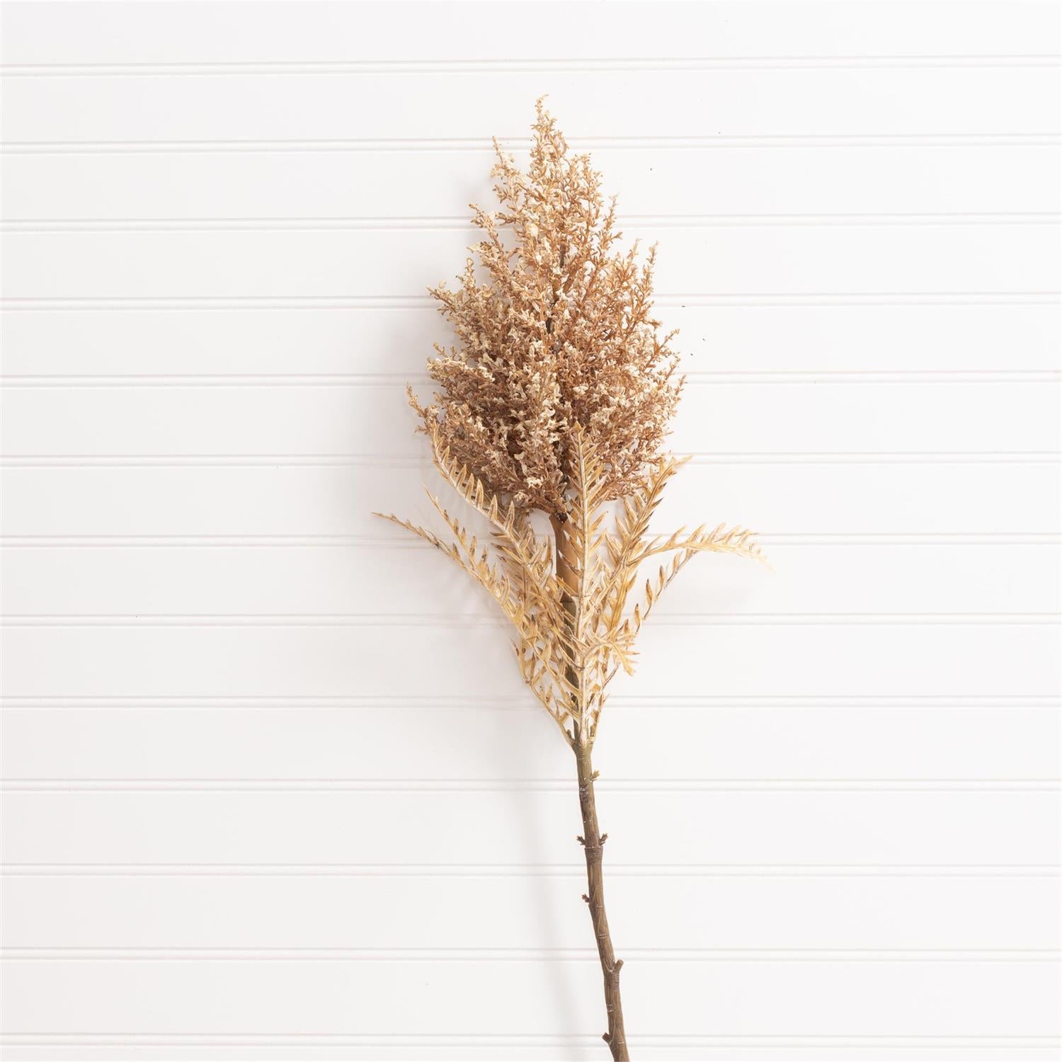 Astilbe Stem