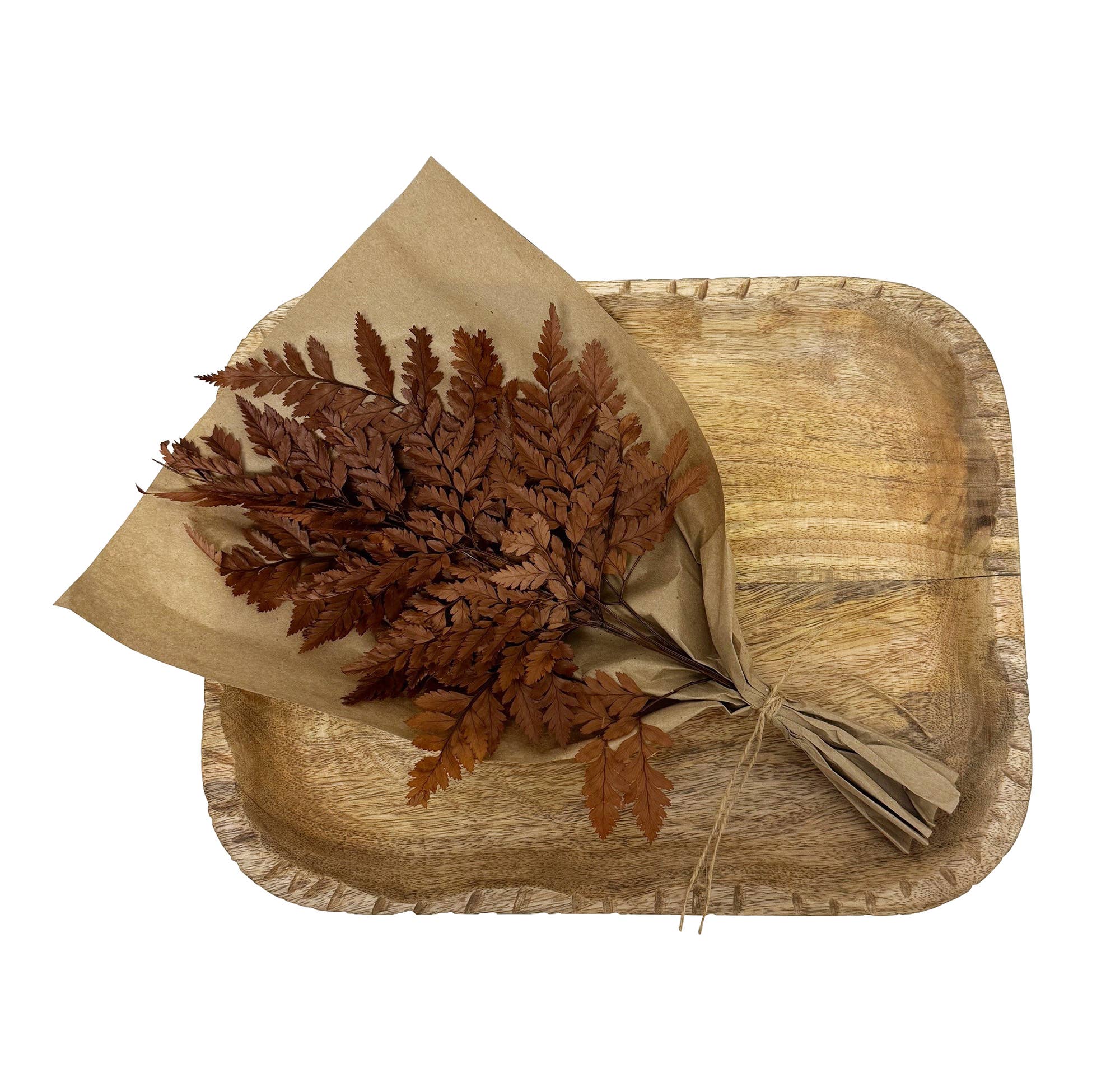 Preserved Mahogany Fern Bundle