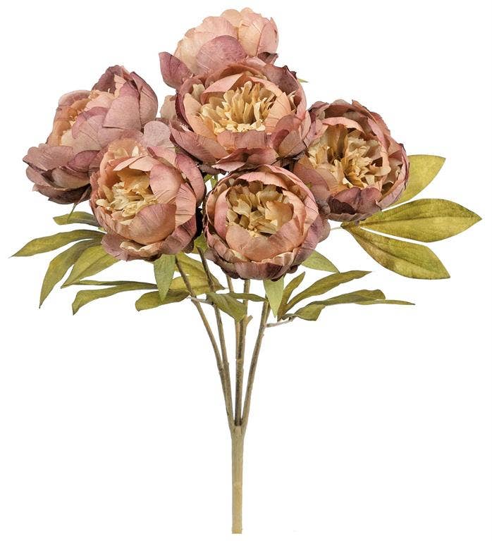 Autumn Peony Bush