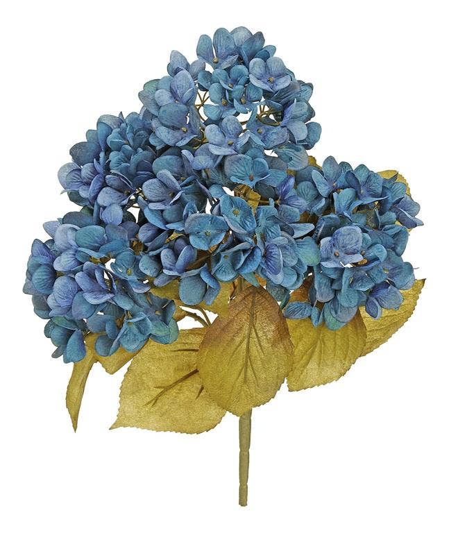 Hydrangea Bush