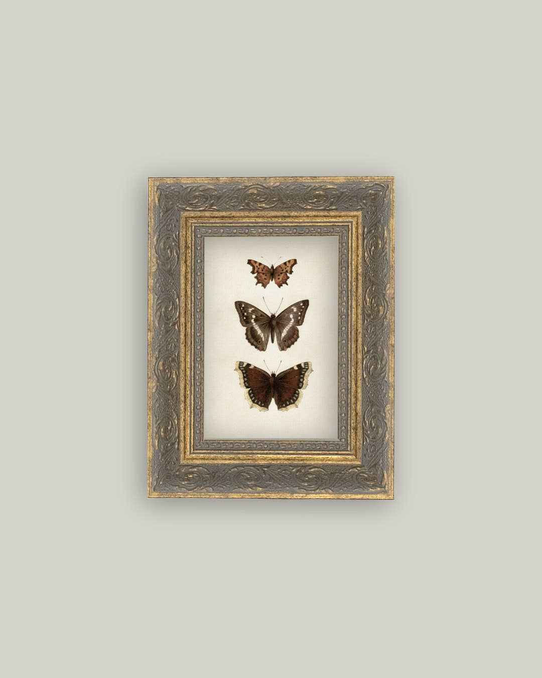 Three Butterflies Framed Antique Art