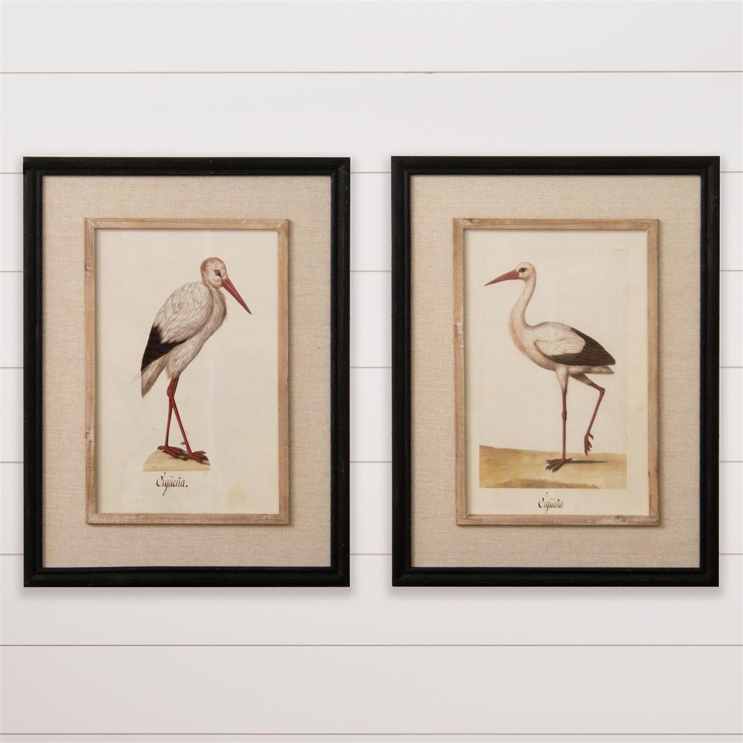 Herons Framed Print