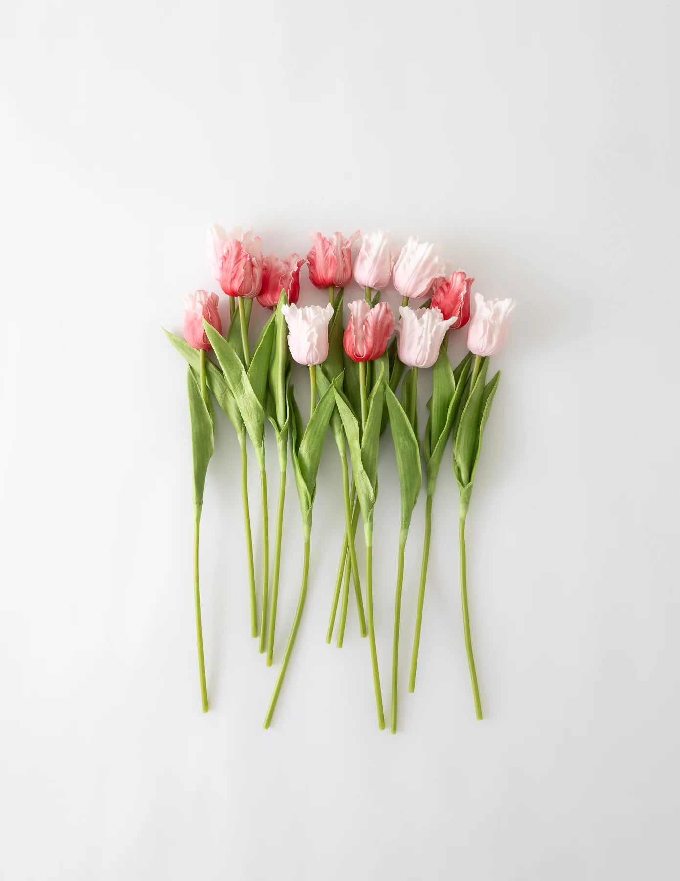 Real Touch Parrot Tulip