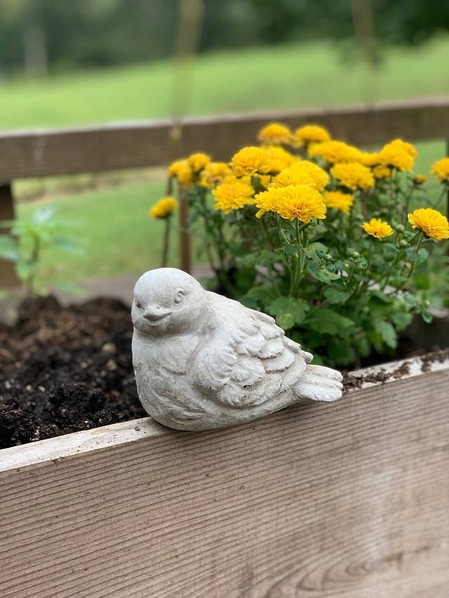 Cement Bird