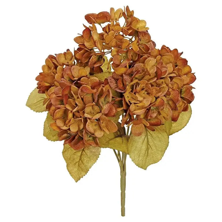 Hydrangea Bush