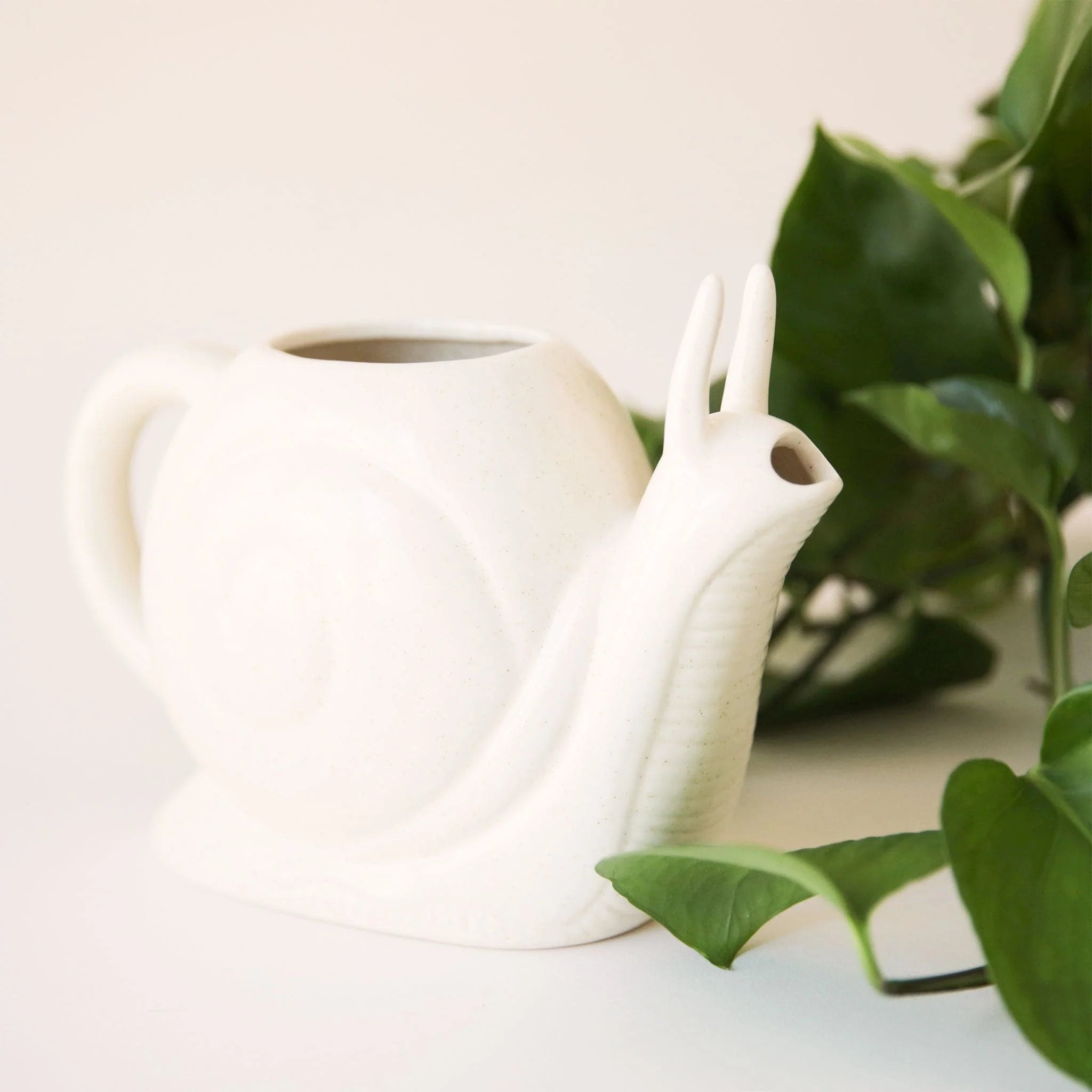 Snail Watering Can