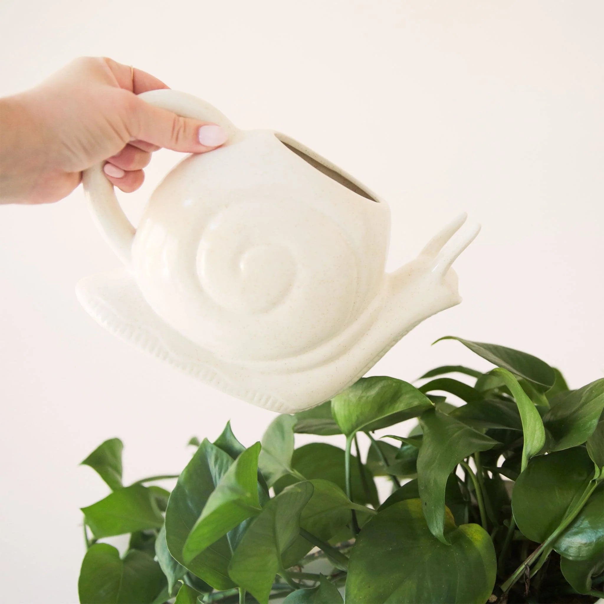 Snail Watering Can