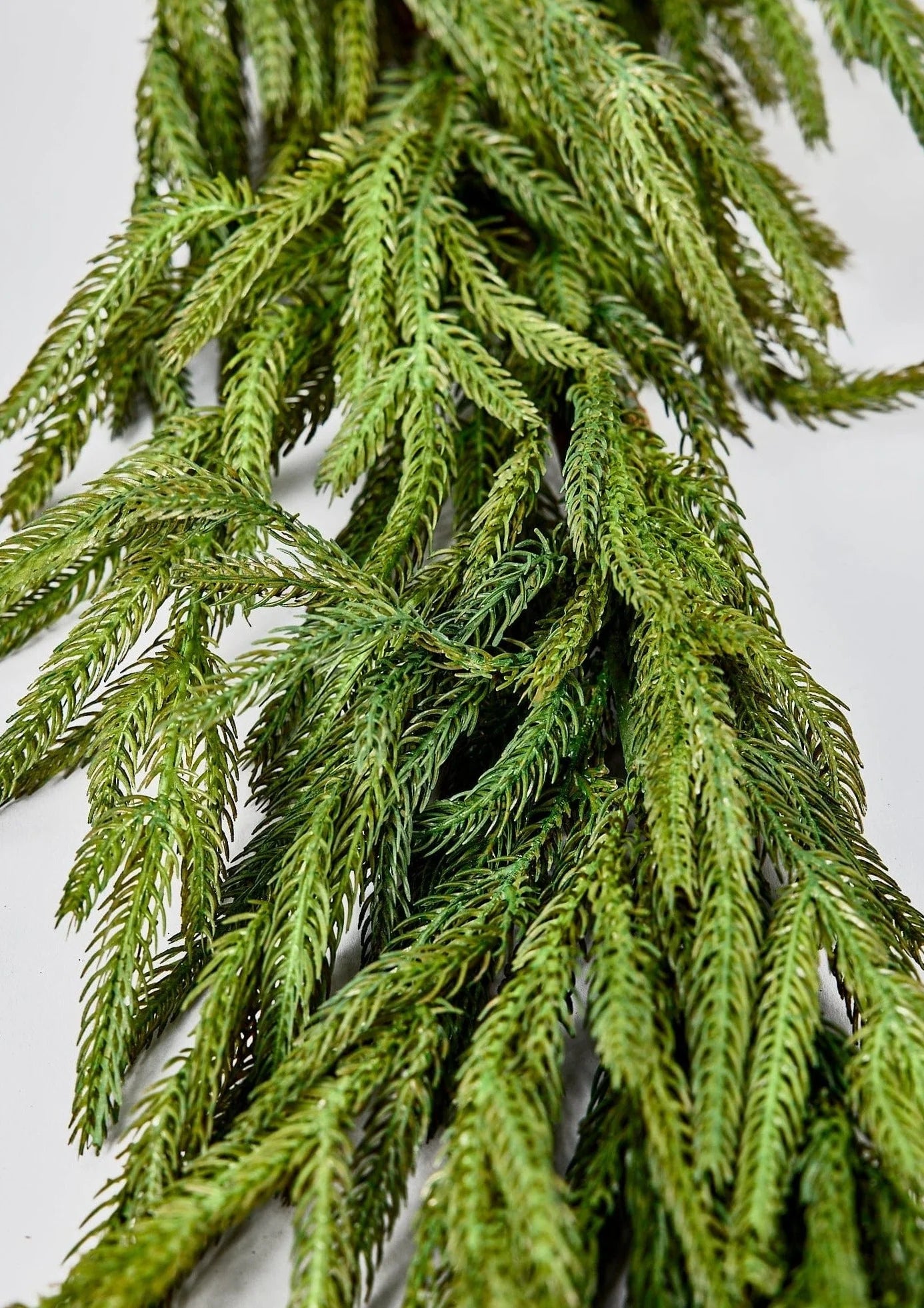 Norfolk Pine Garland