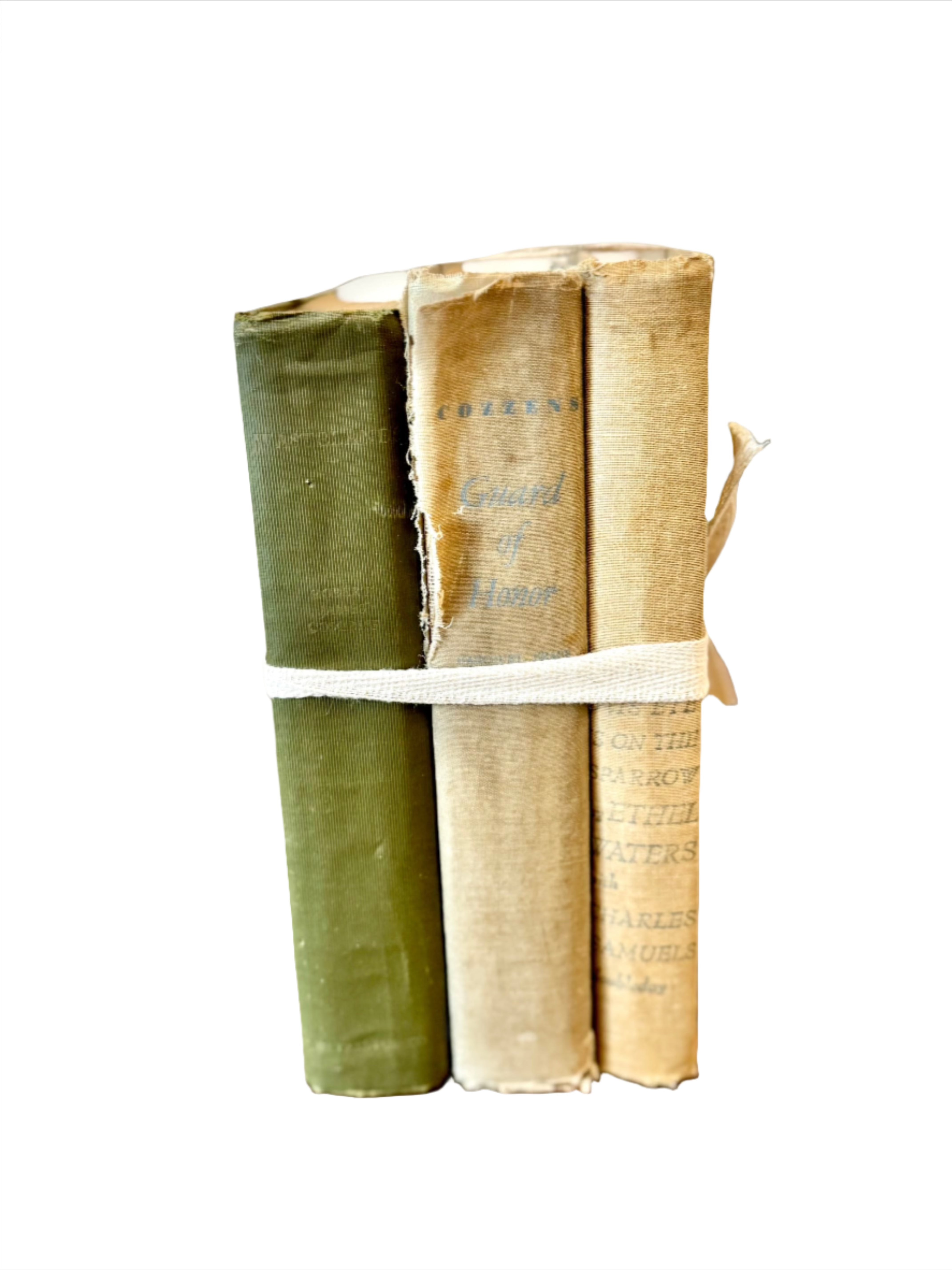 Antique Beige & Green Book Set (3 pc.)