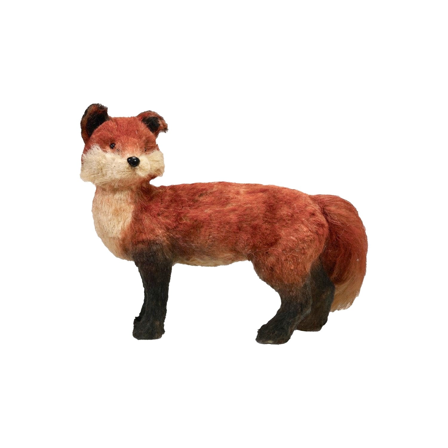 Sisal Fox