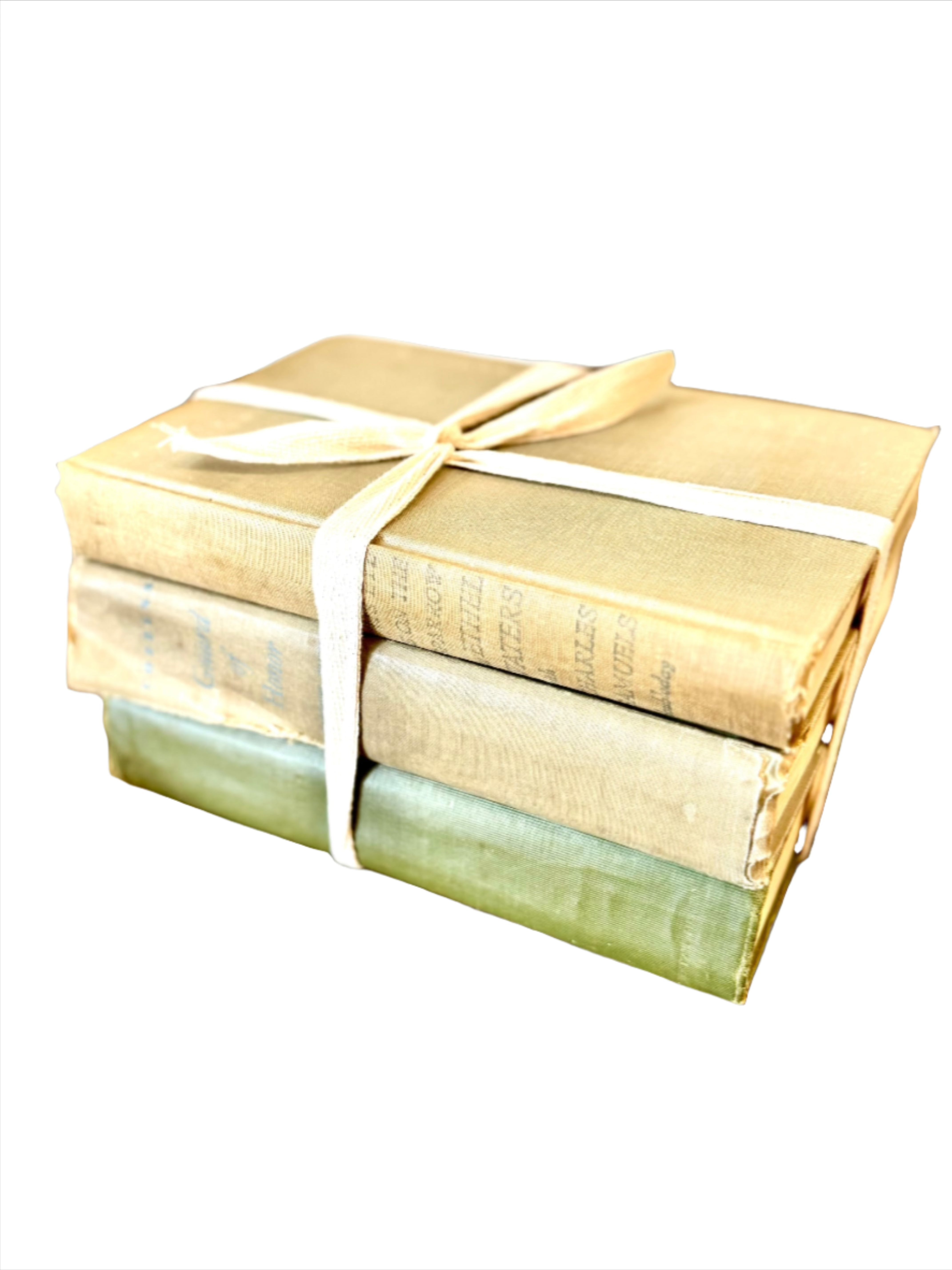 Antique Beige & Green Book Set (3 pc.)