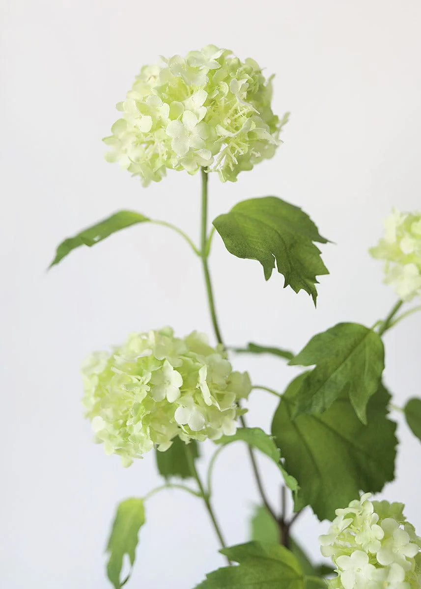 Green Snowball Hydrangea - 28"