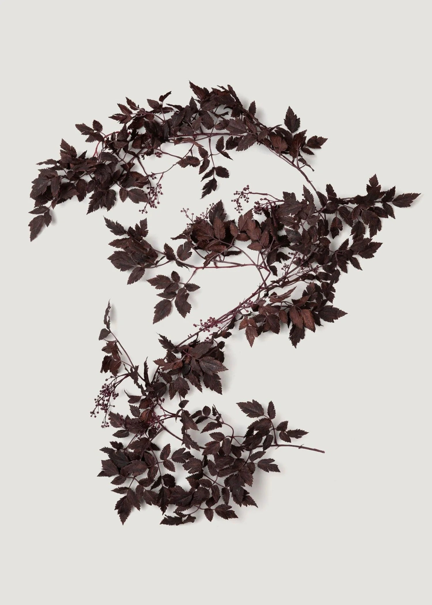 Plum Faux Ramosa Garland
