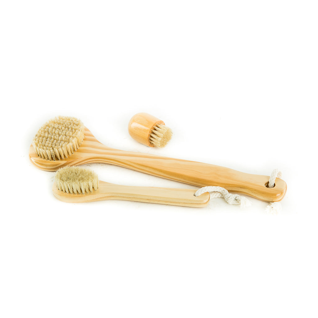 CEDAR WOOD APOTHECARY BRUSH