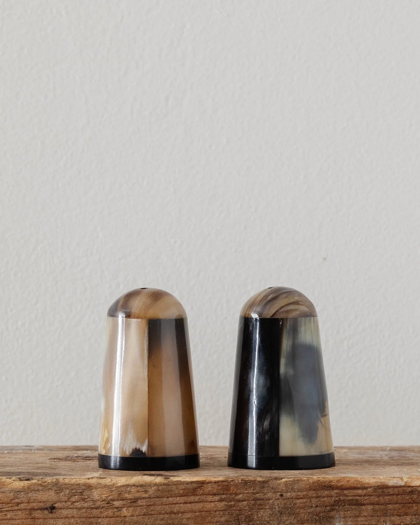 Horn Salt Shakers Set