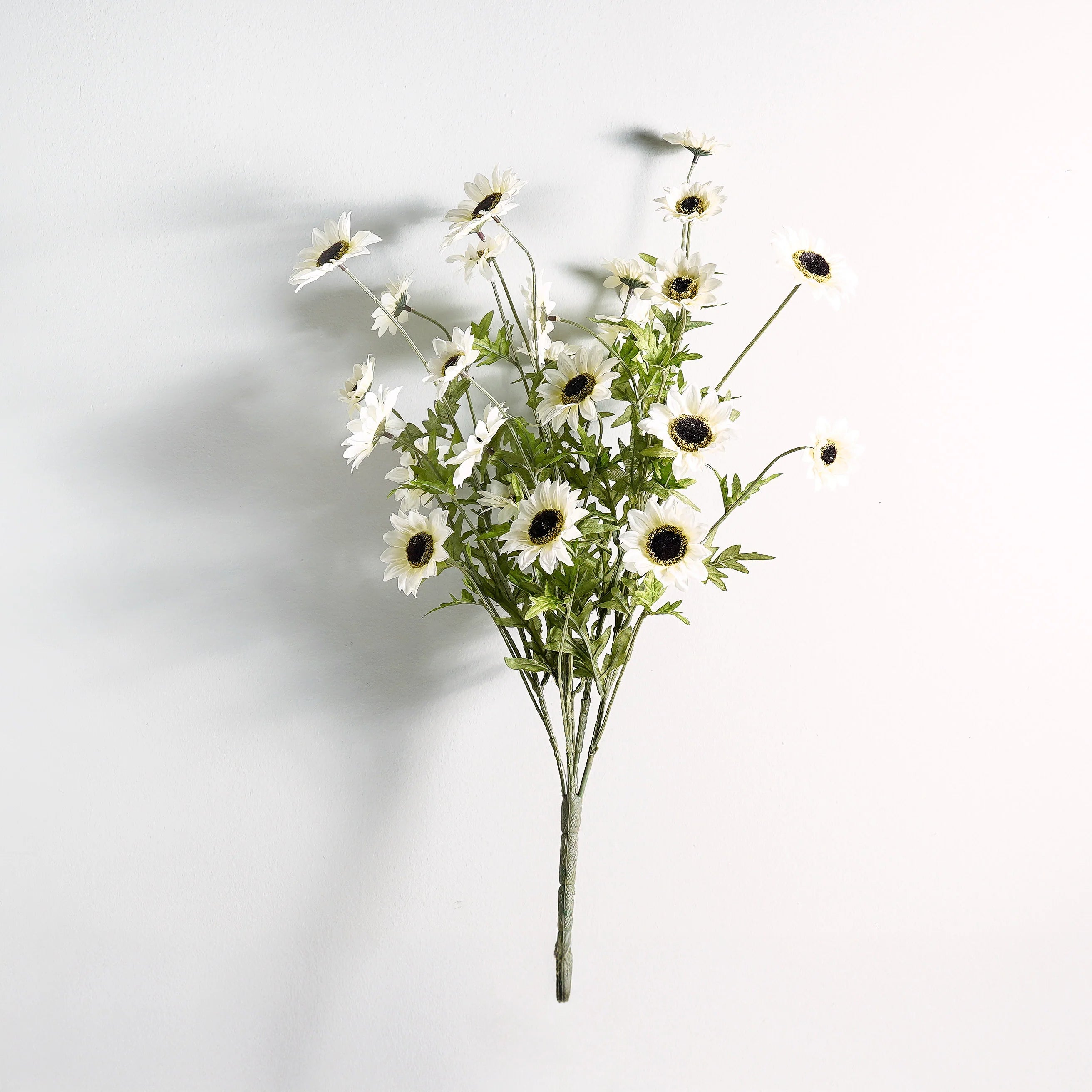 Black-Eyed Susan Bush