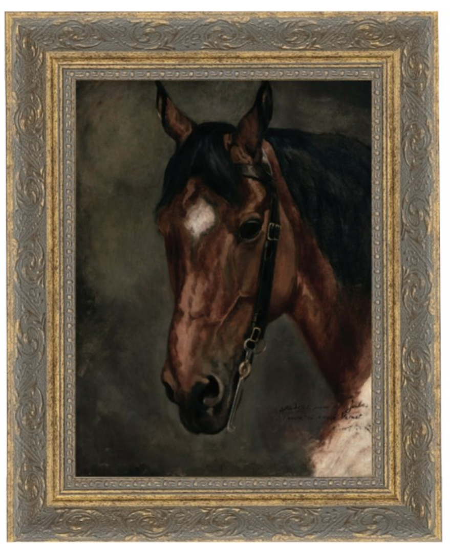 Horse Portrait 5x7