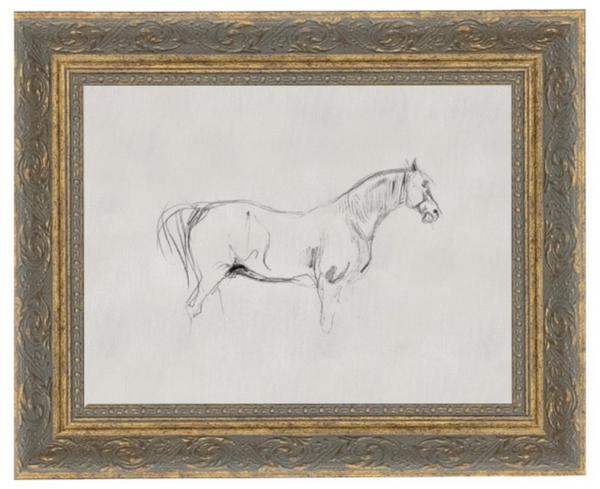 Horse Sketch 5x3