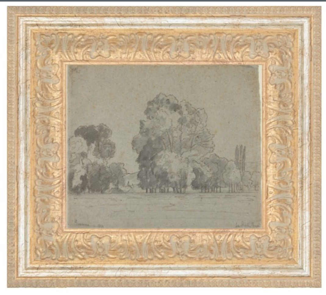 Grove of Trees Framed Art