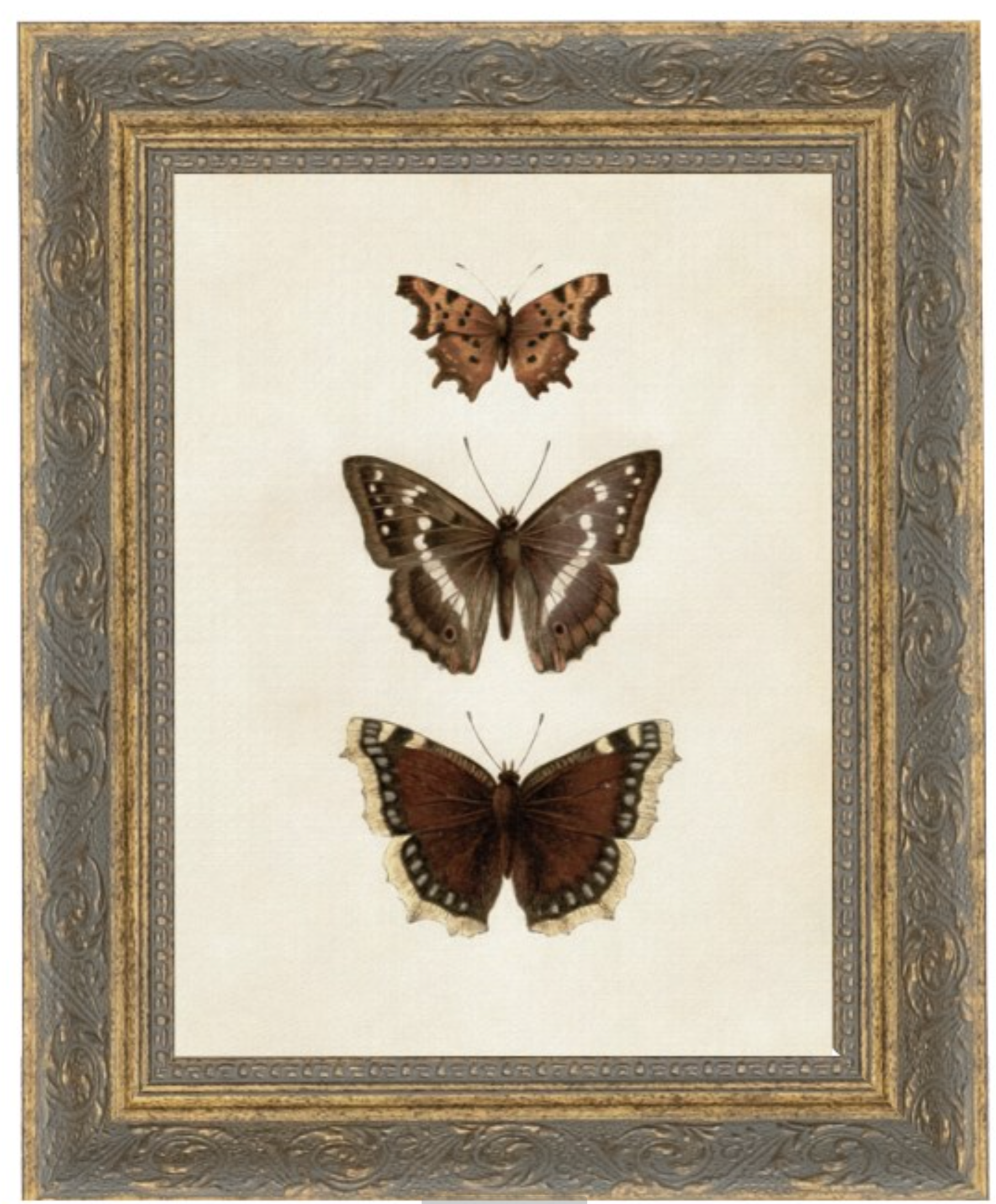 Three Butterflies Framed Art