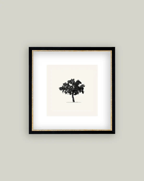 B&W Tree Framed Art