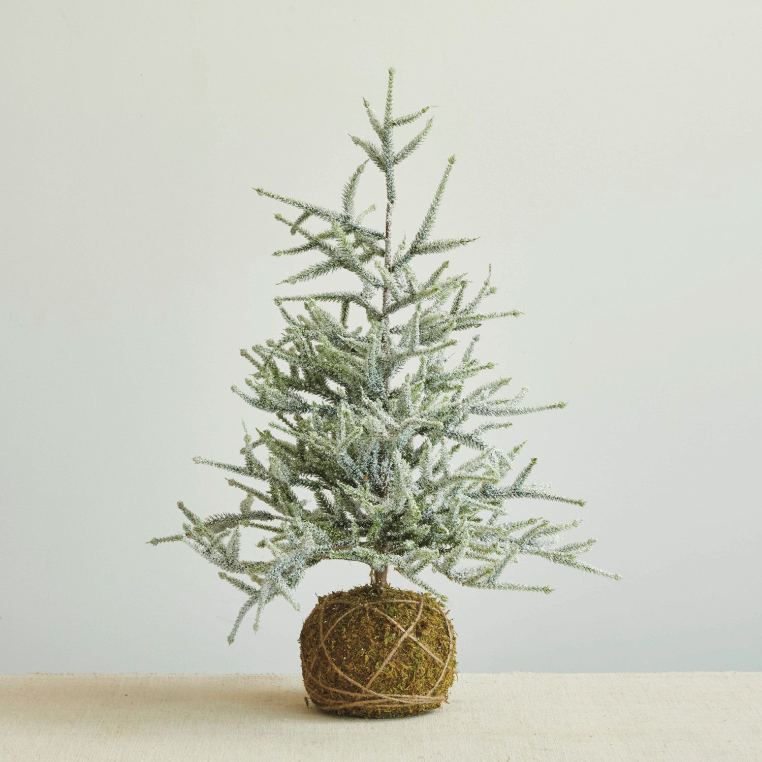 Faux Spruce Tree w/ Moss Ball Base