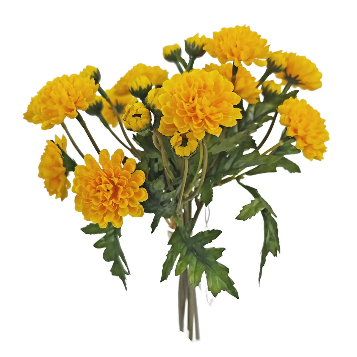Wild Mum Bundle