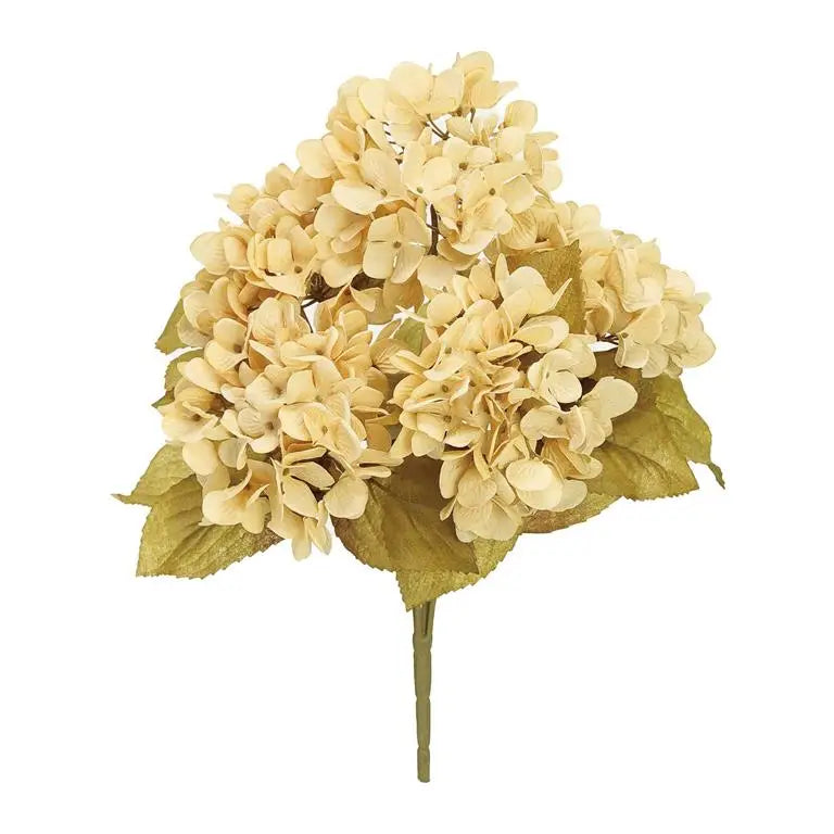 Hydrangea Bush