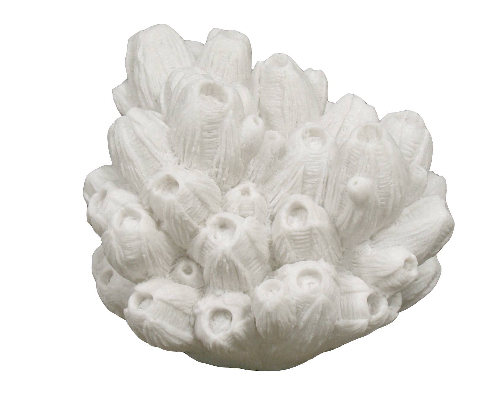 Sandstone Barnacle Lamp