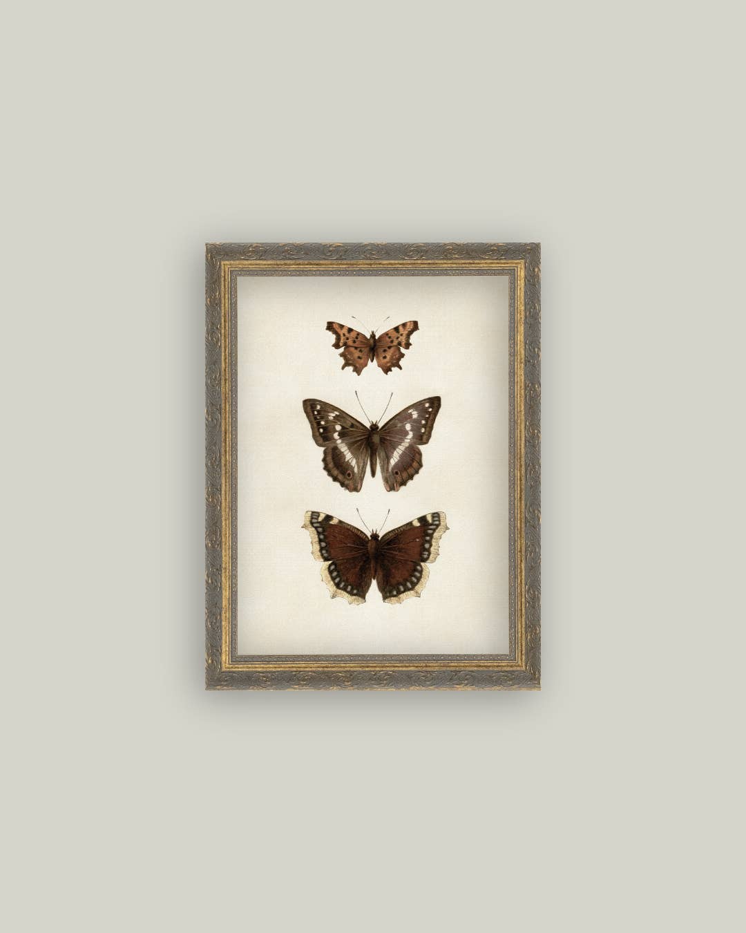 Three Butterflies Framed Antique Art