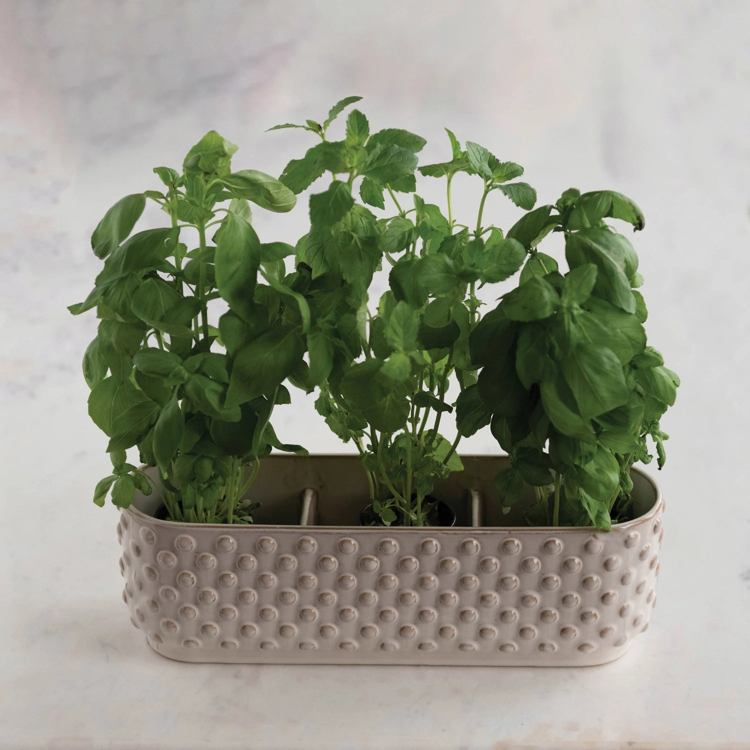 Hobnail Window Planter