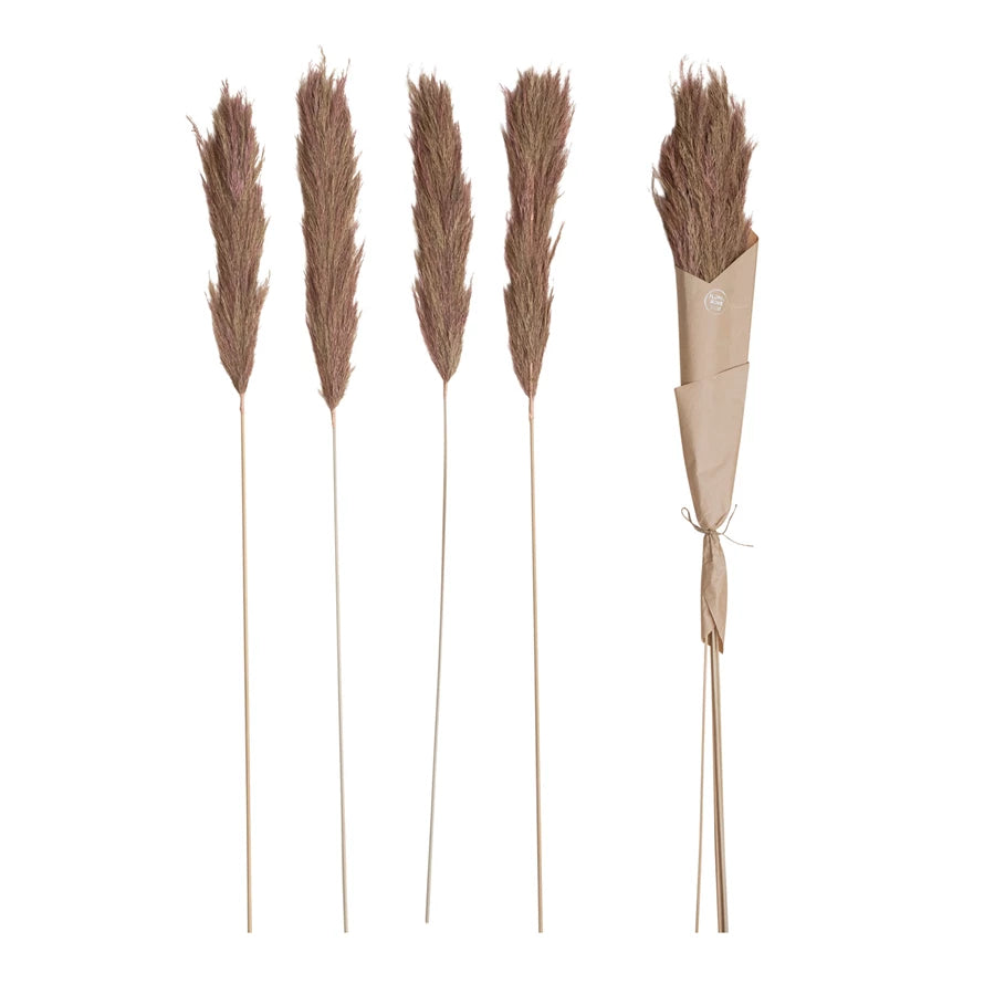 Dried Velvet Grass Bunch