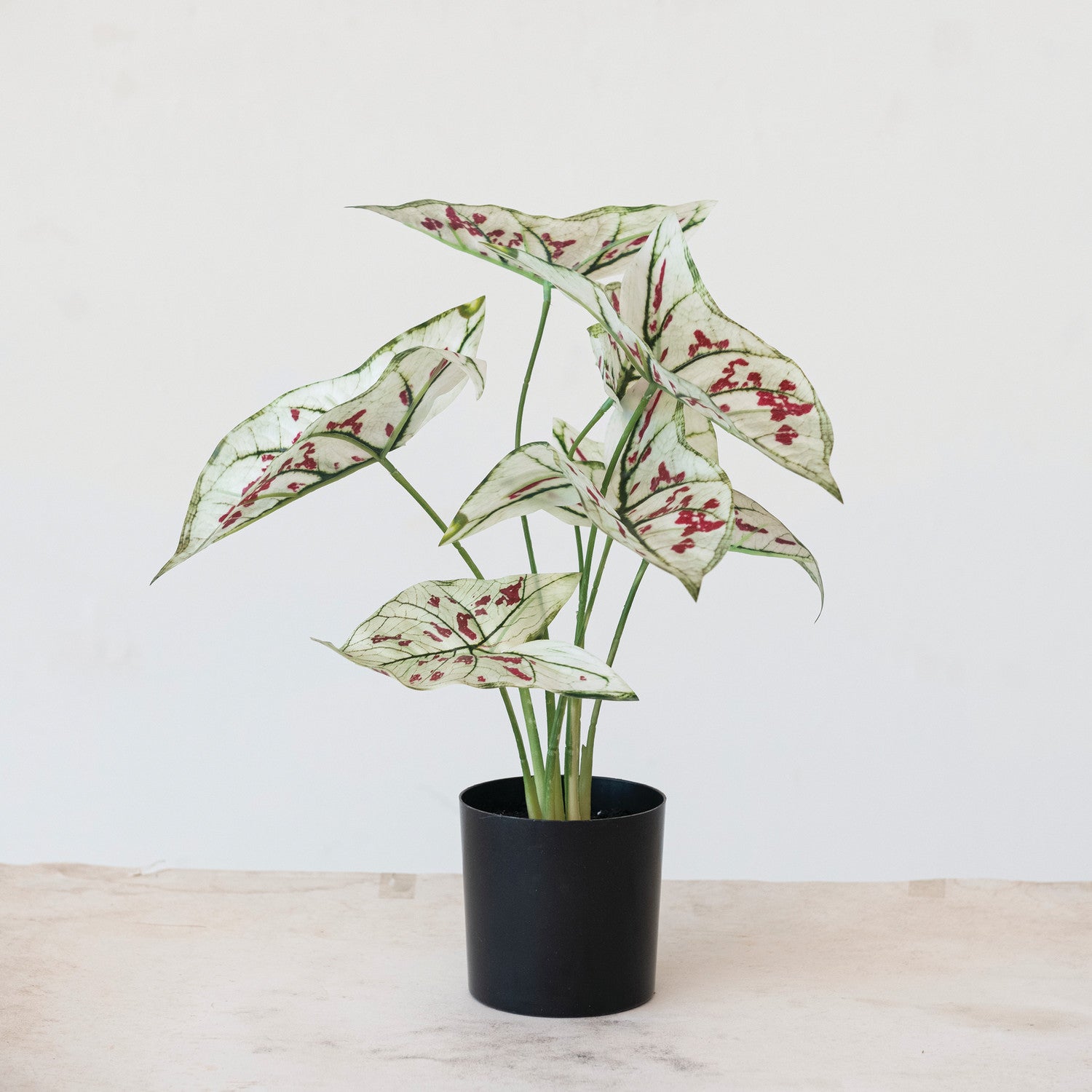 Faux Botanical Elephant Ear in Pot