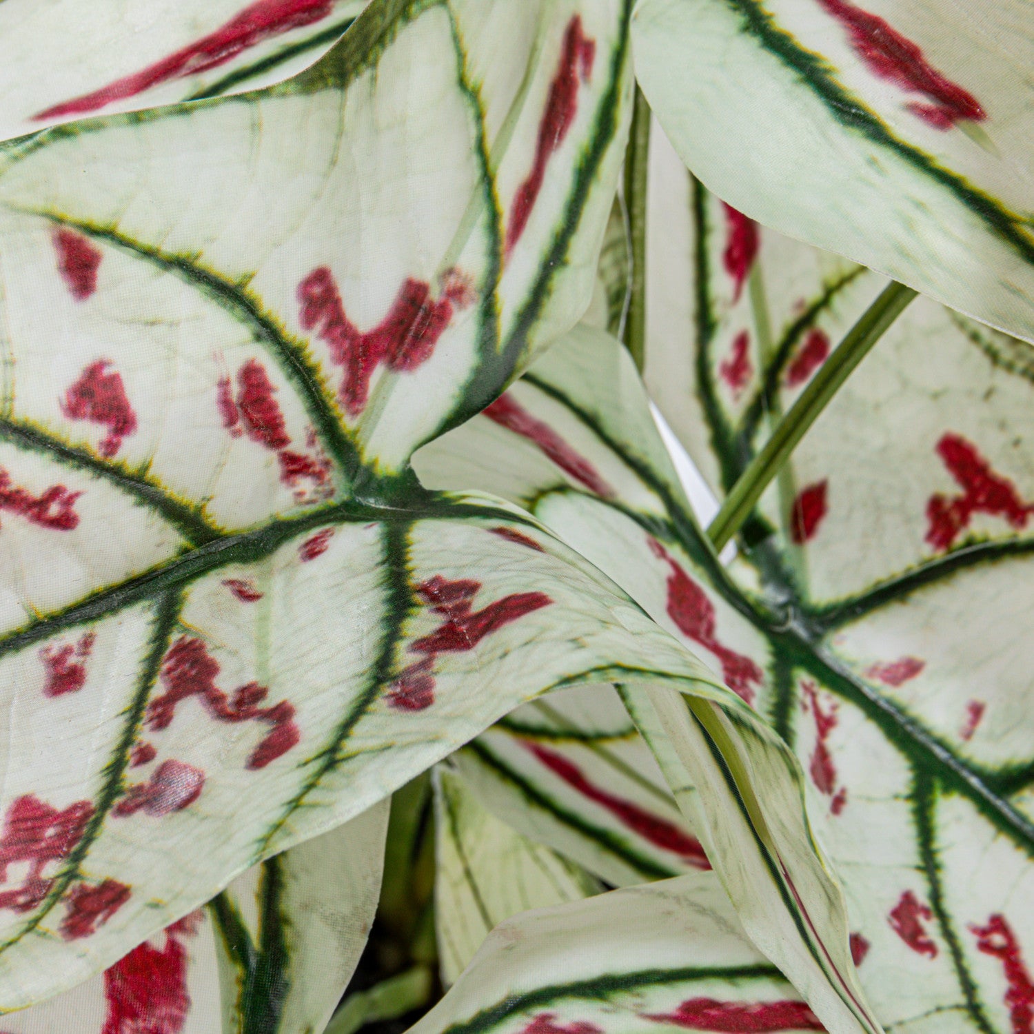 Faux Botanical Elephant Ear in Pot