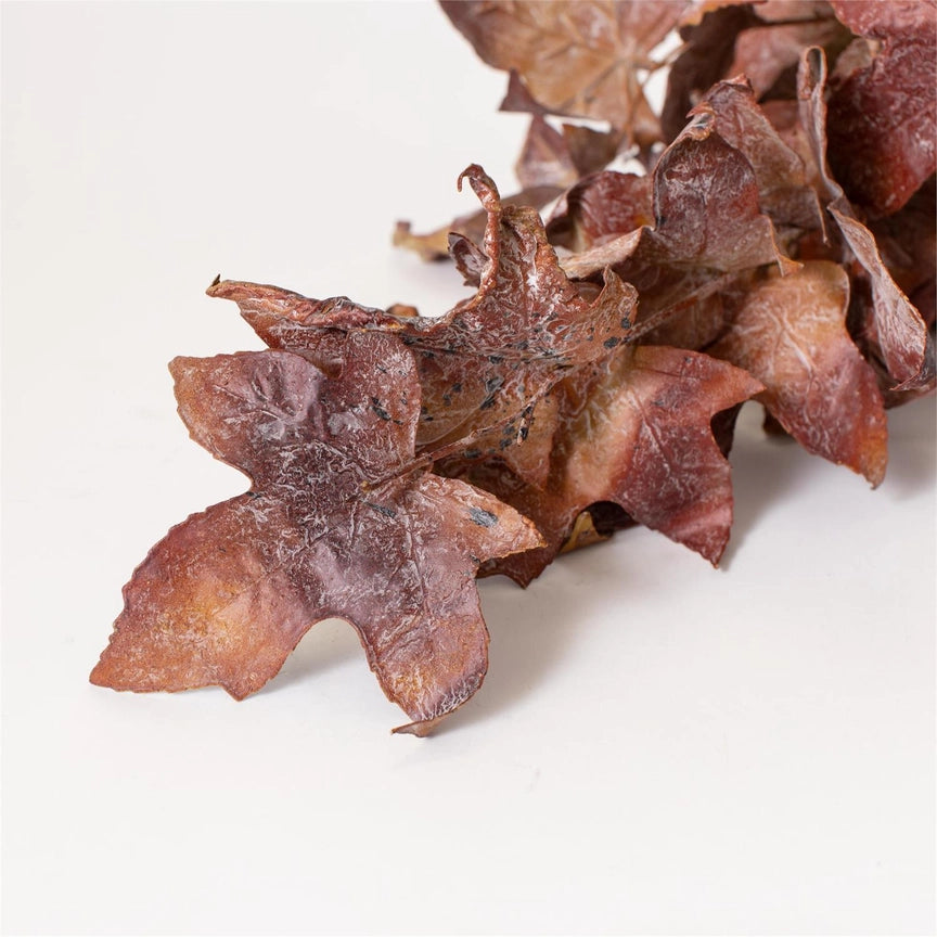 Dried Maple Leaves