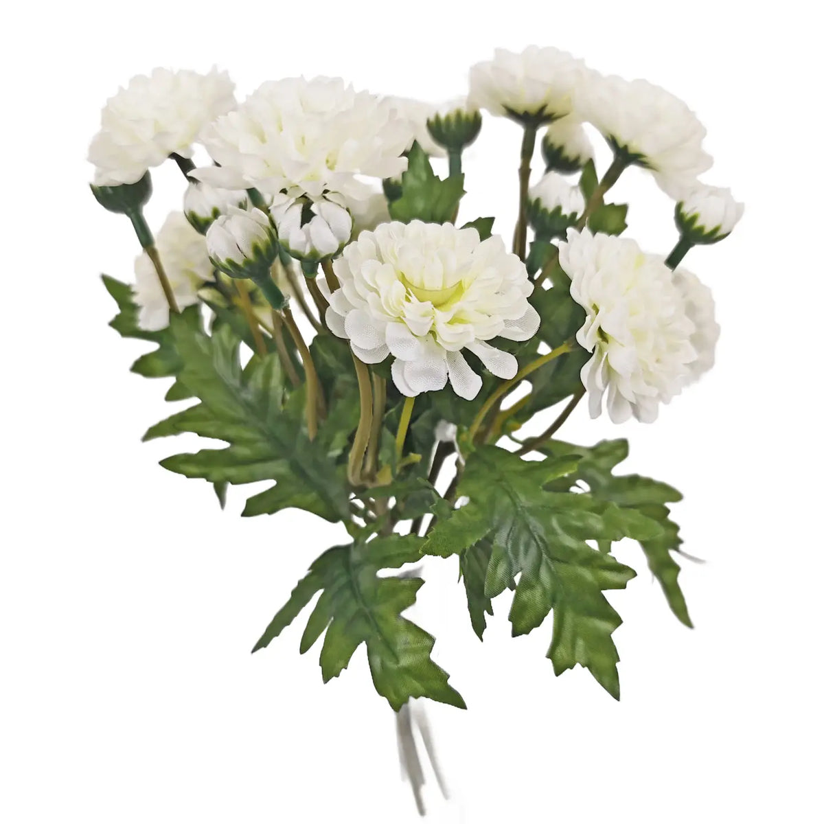 Wild Mum Bundle